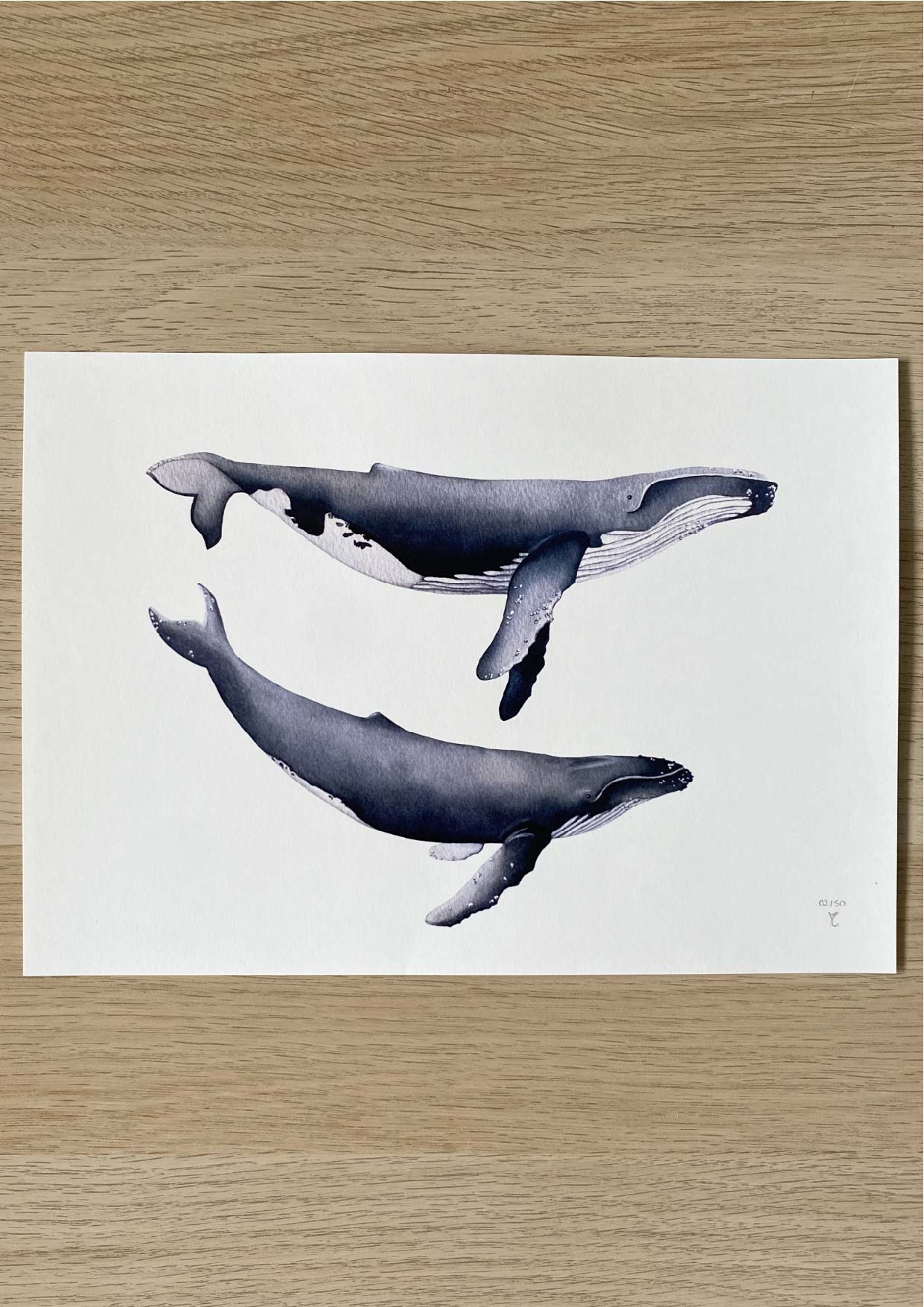 Les baleines