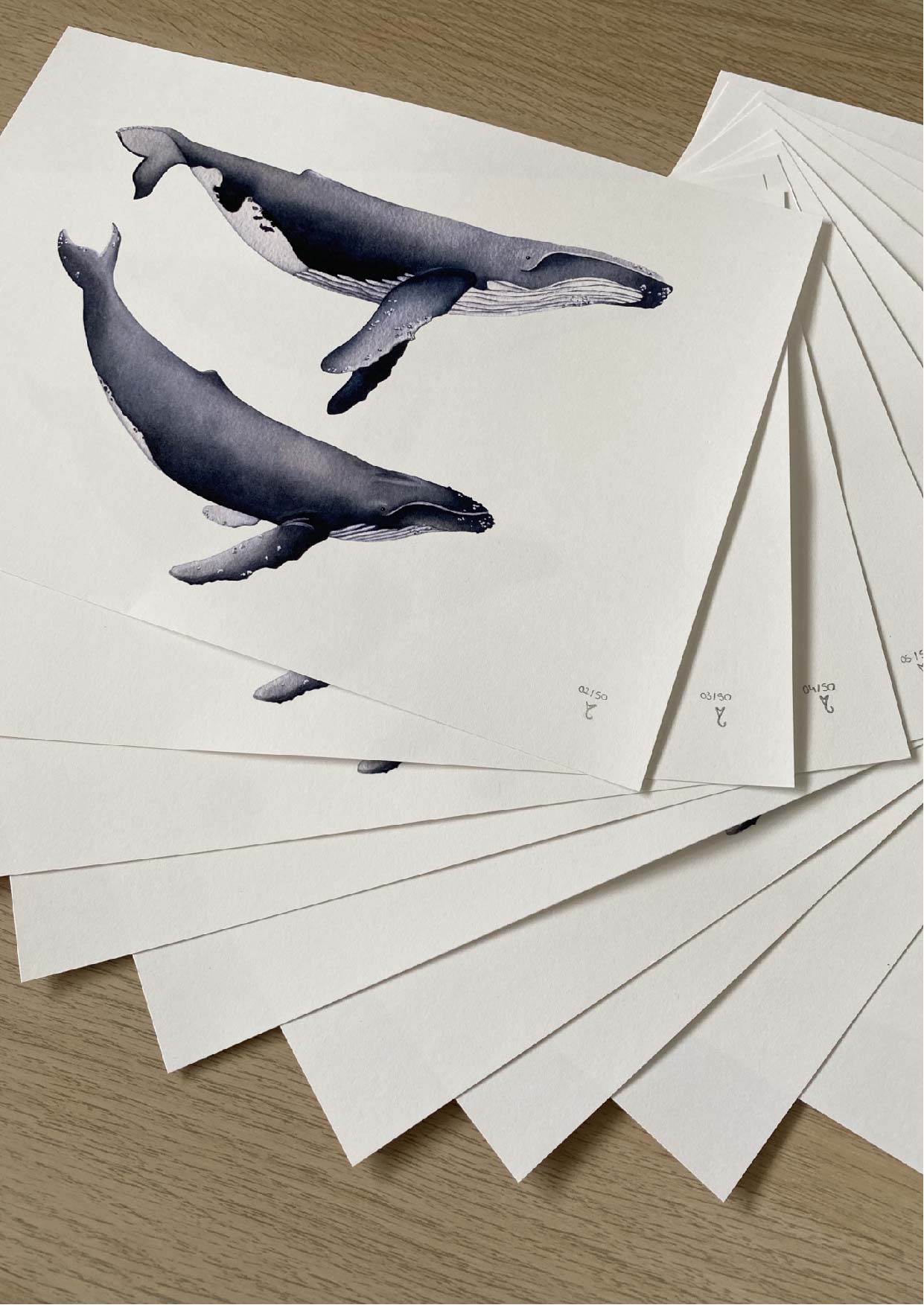 Les baleines