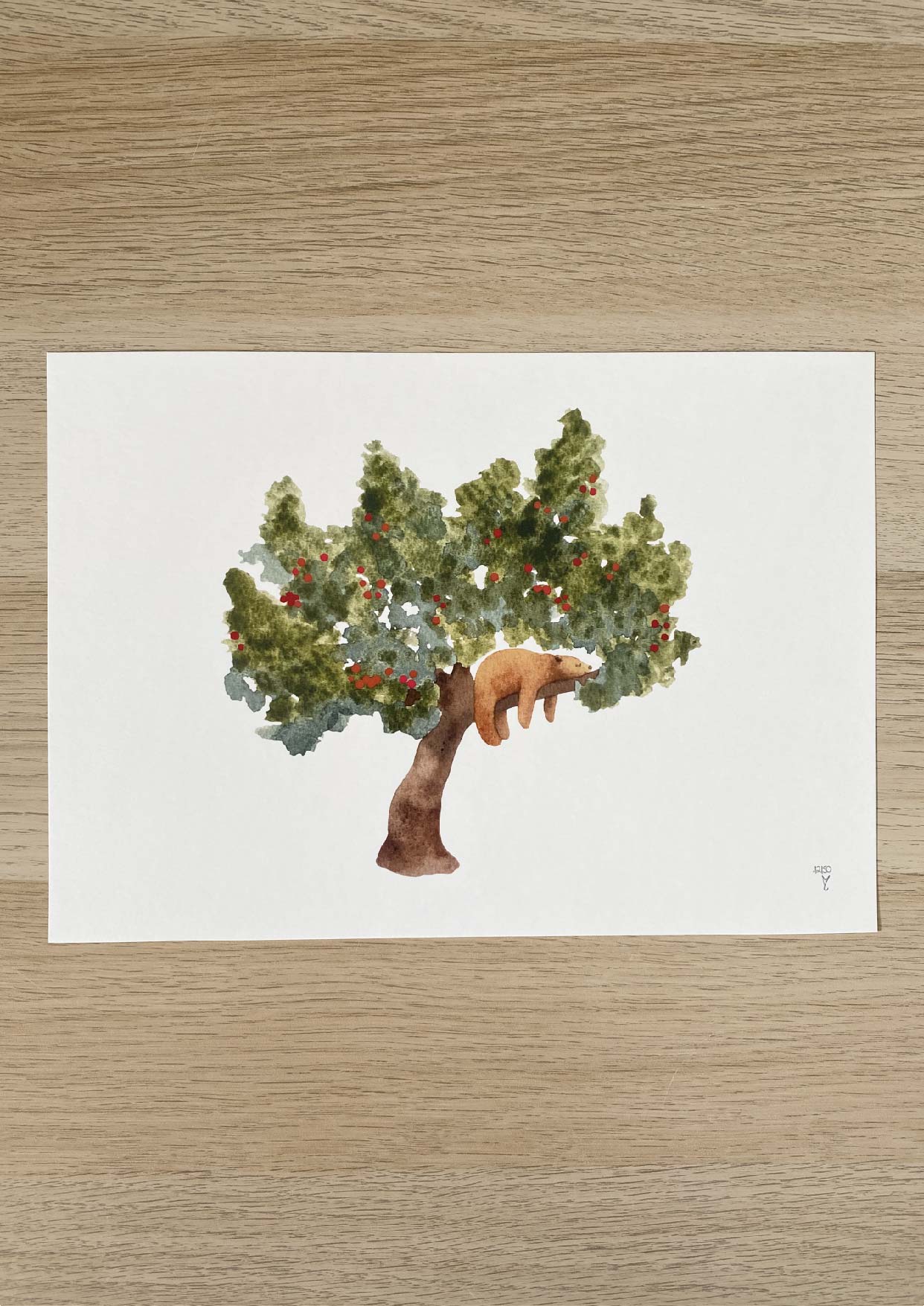 L'ours et l'arbre à fraises