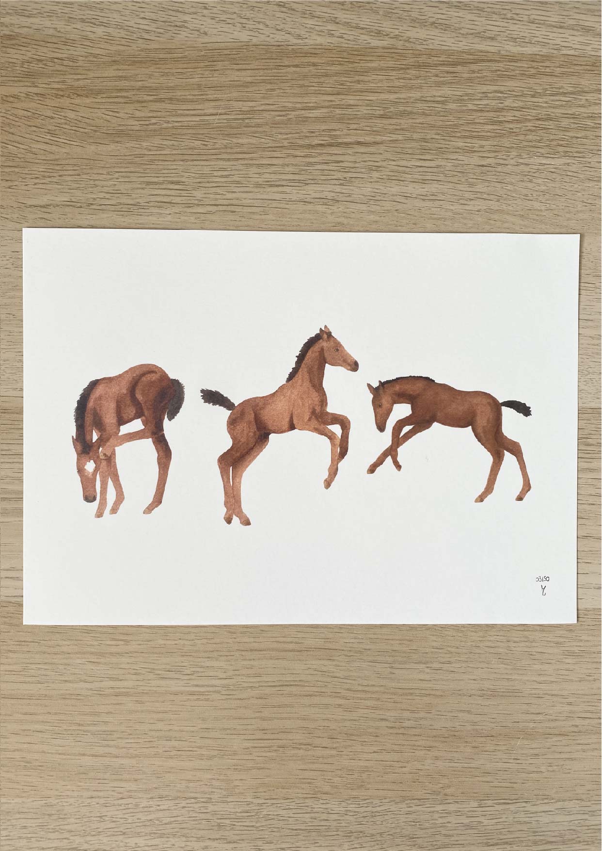 Les trois poulains