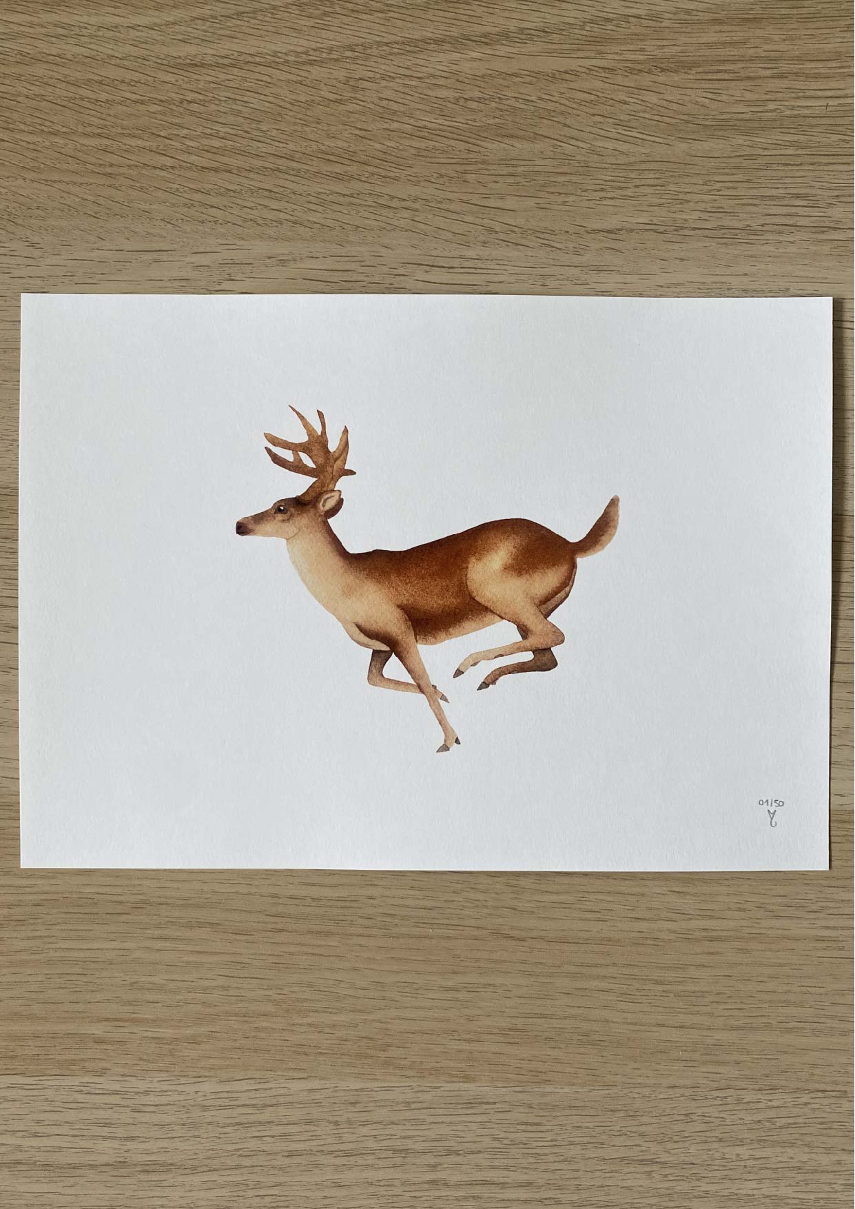 Le cerf