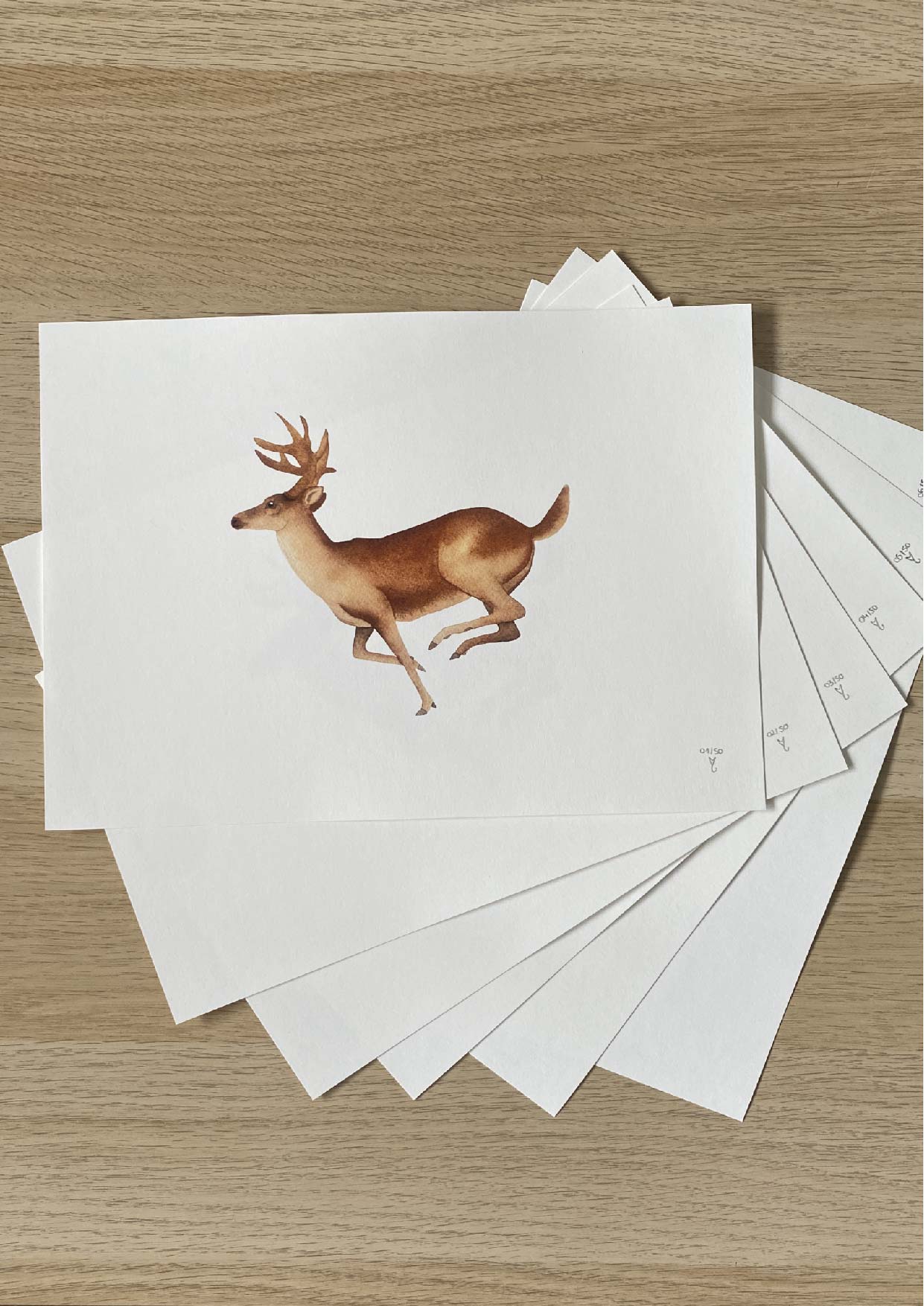 Le cerf