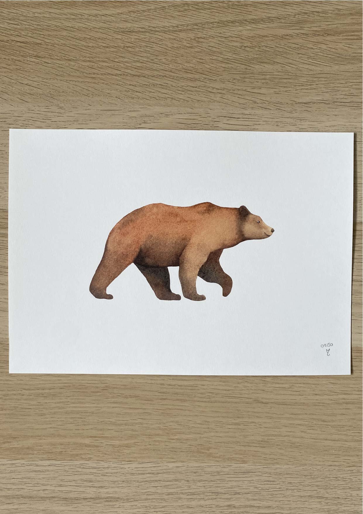 L'ours