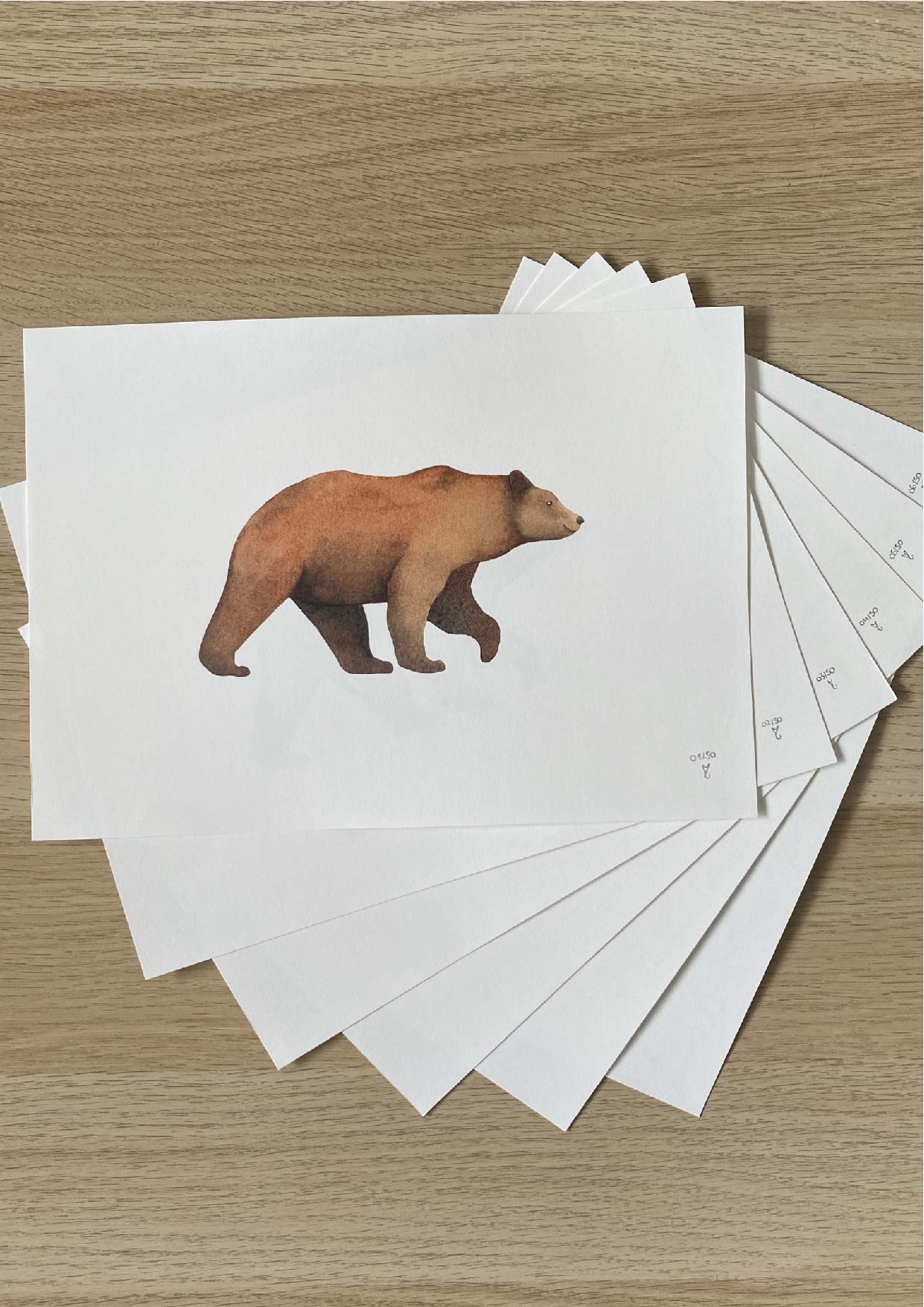L'ours