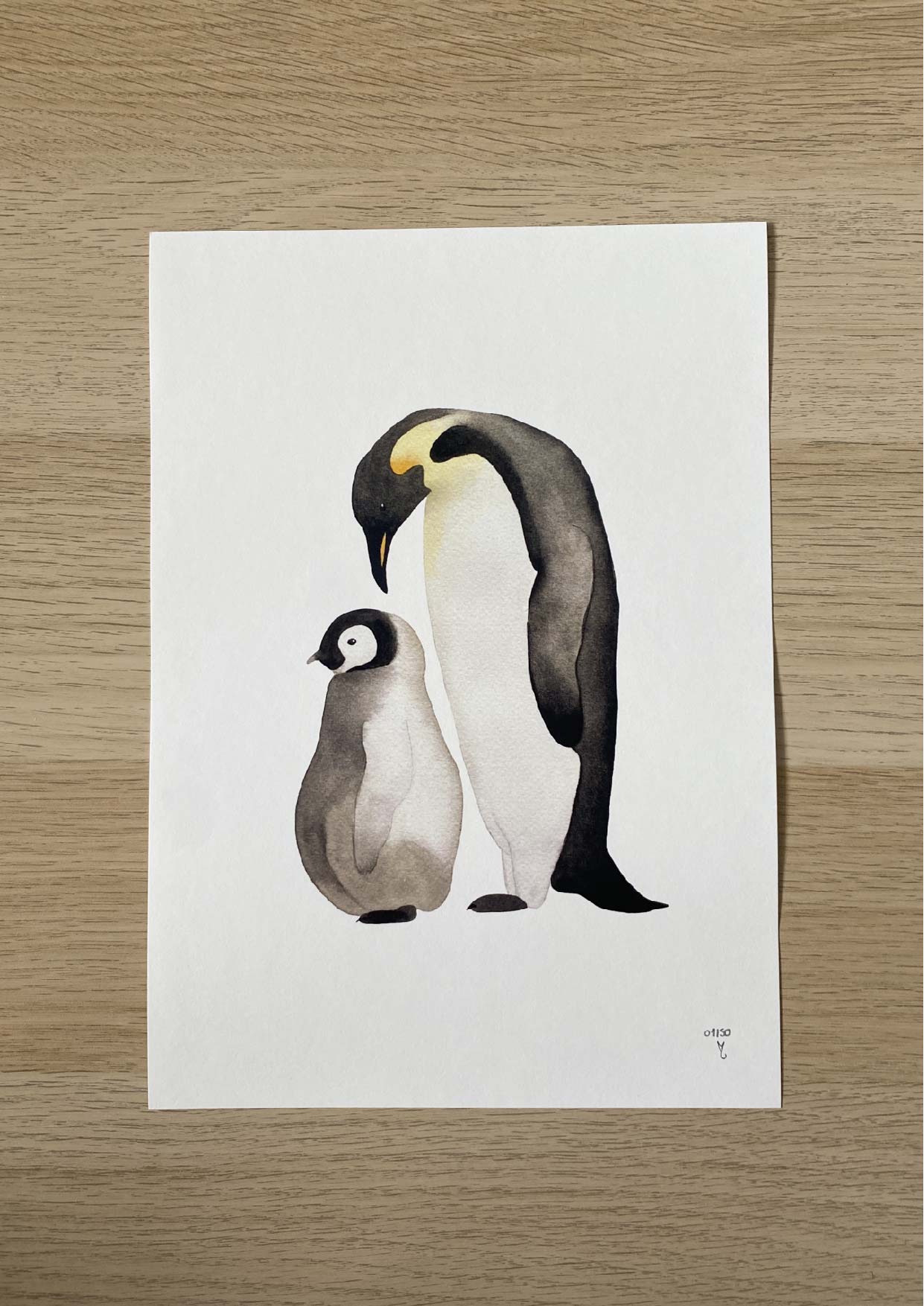 Les deux manchots