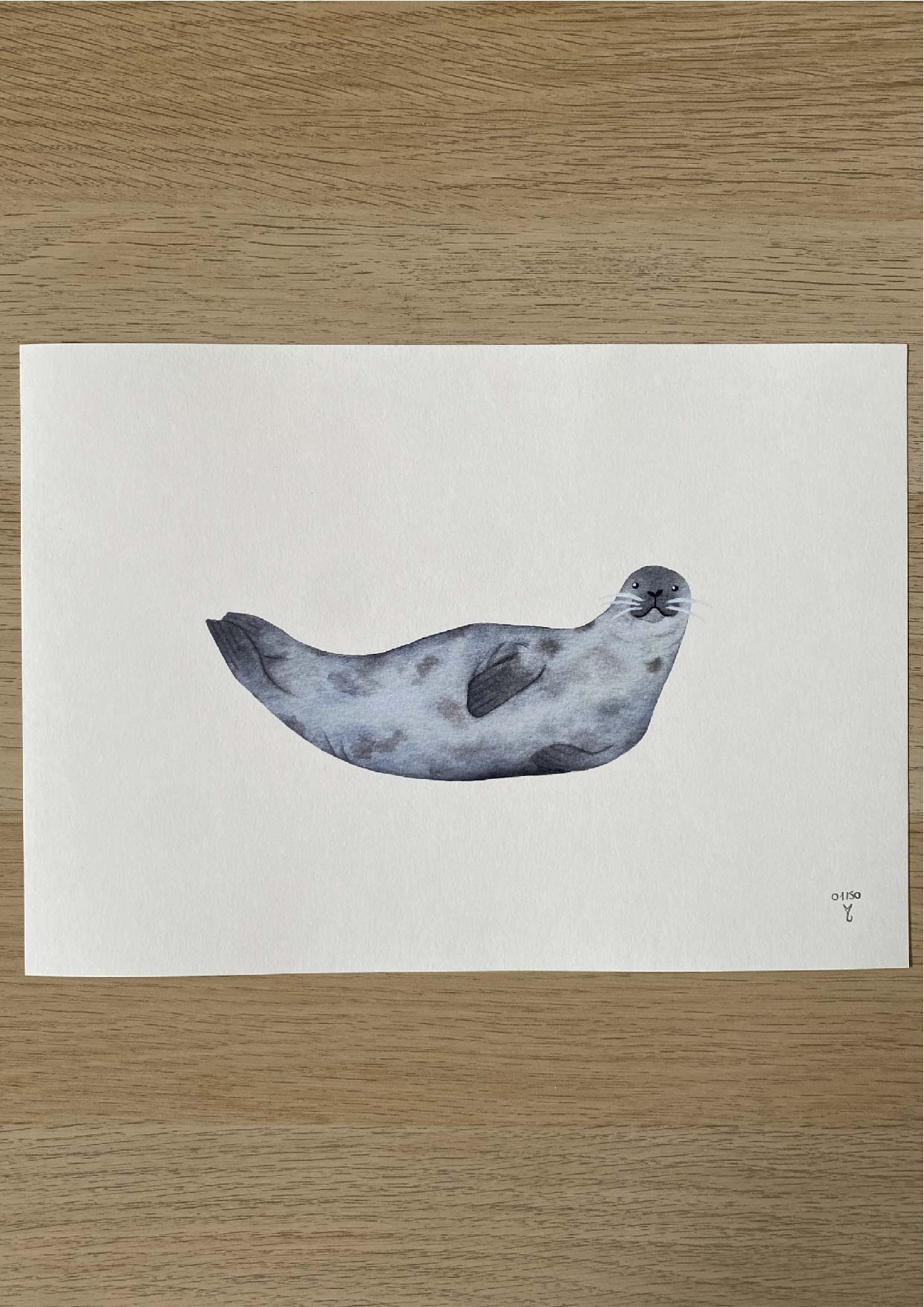 Le phoque