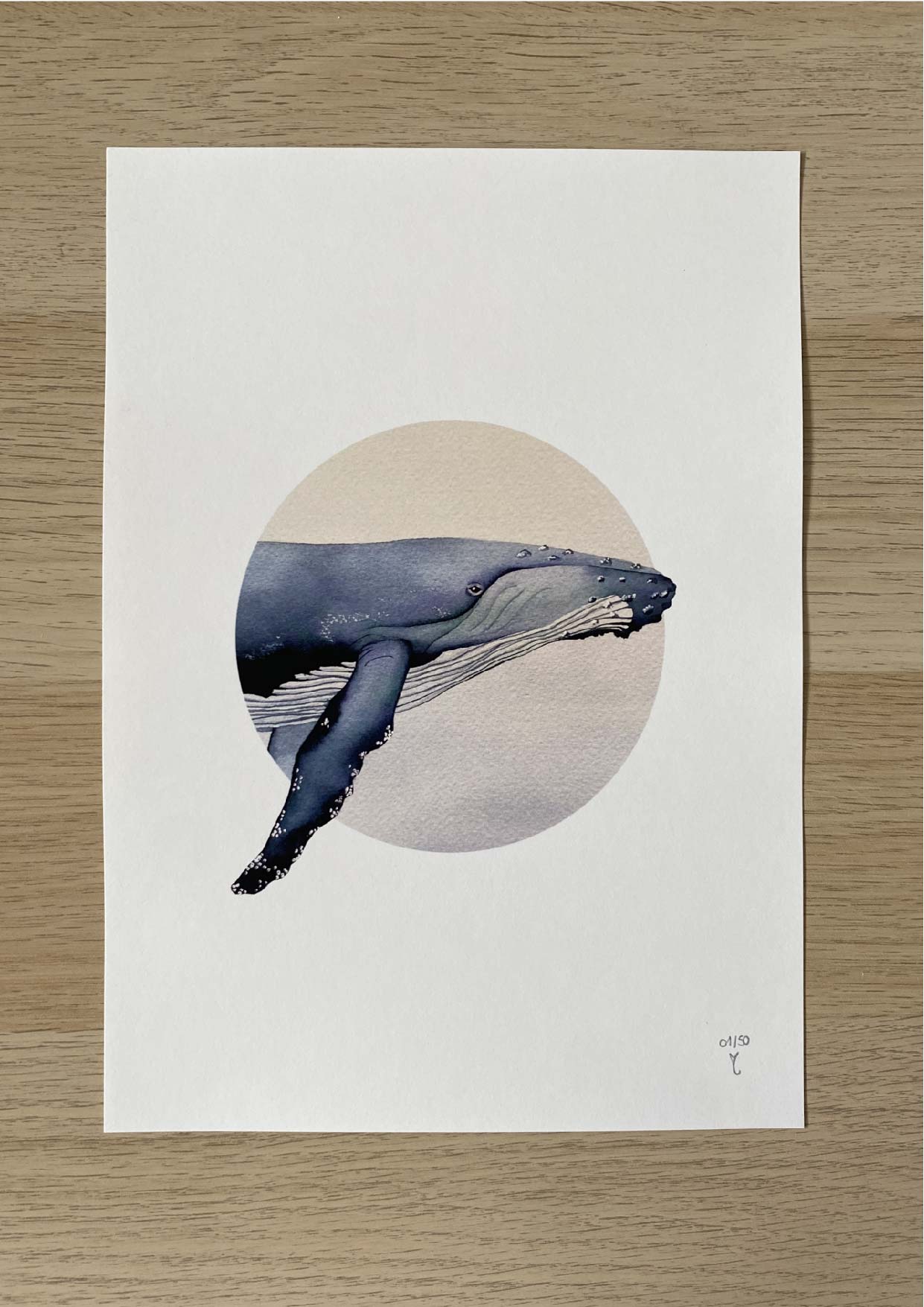 L'oeil de la baleine