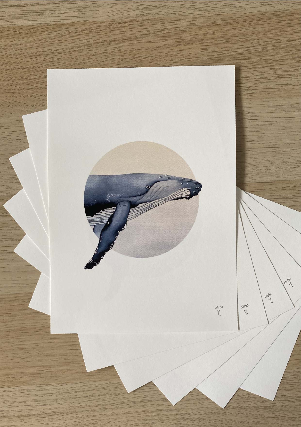L'oeil de la baleine
