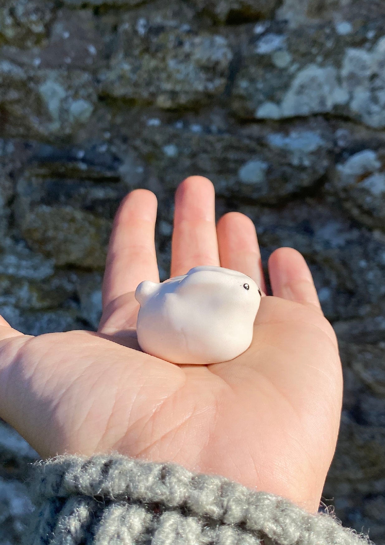 Le lapin en boule