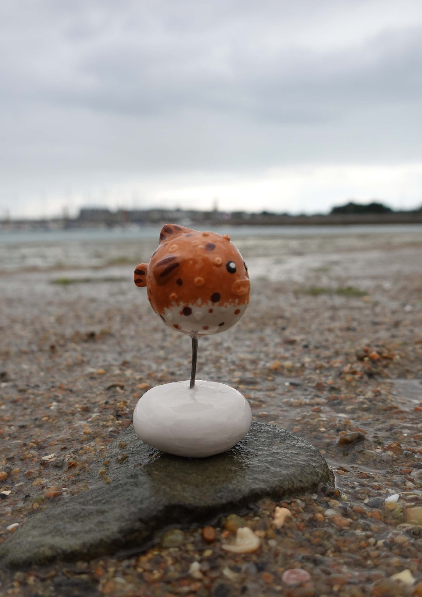 Le poisson hérisson