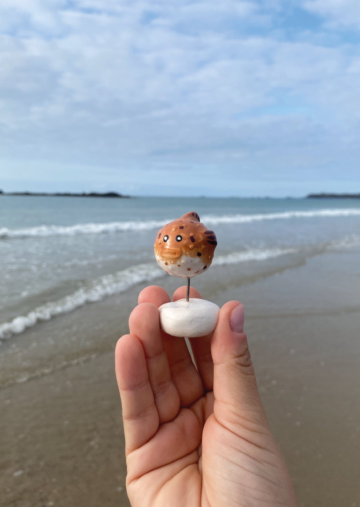 Le poisson hérisson