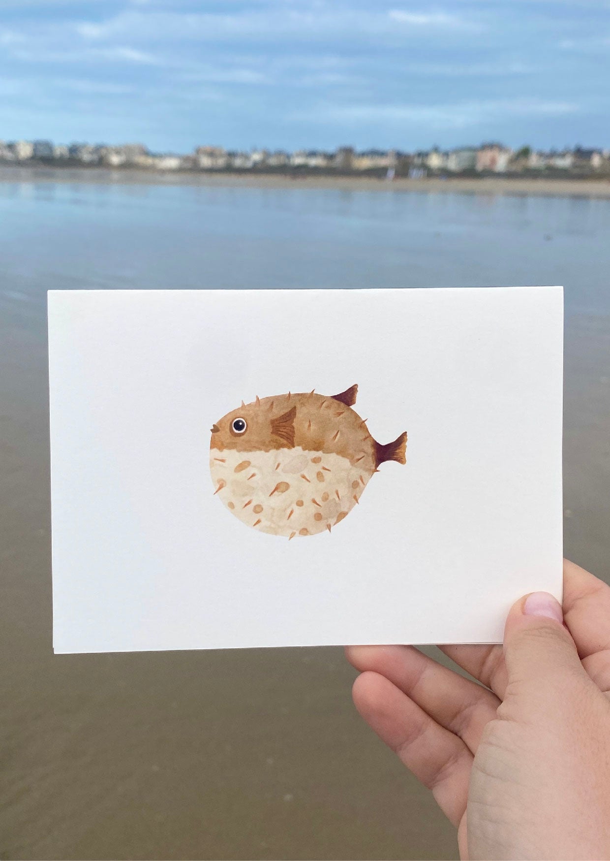 Carte le poisson hérisson