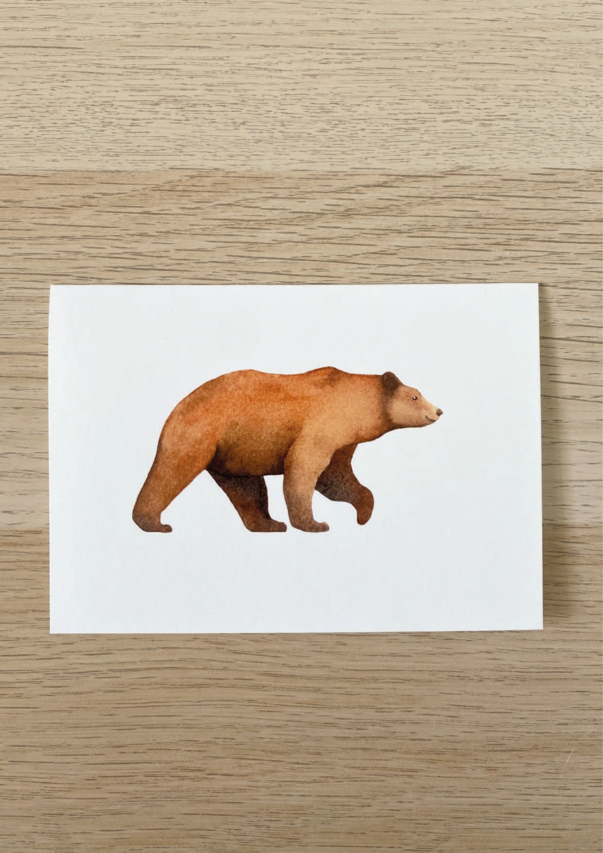 Carte l'ours brun