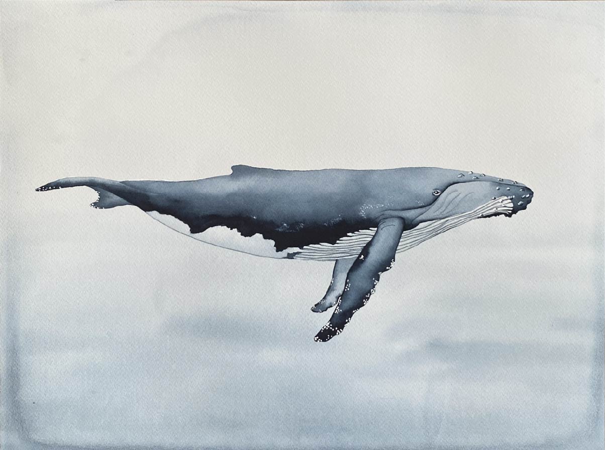 La baleine