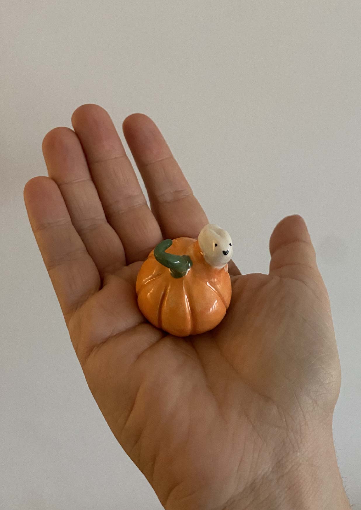Pumpkin and its little animal