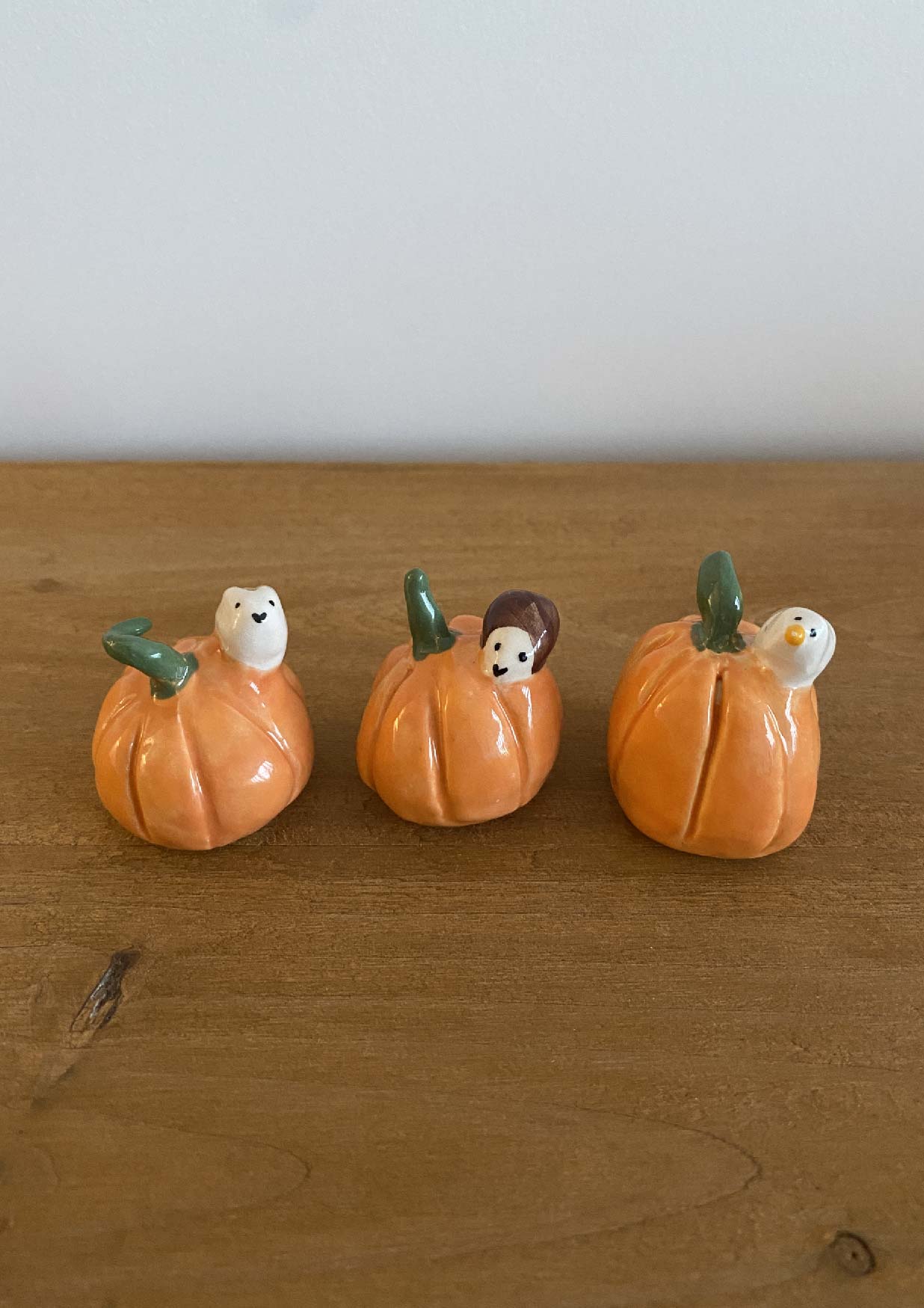 Pumpkin and its little animal