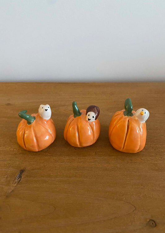 Pumpkin and its little animal